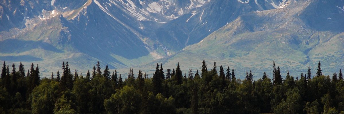 Mountains and forests of subarctic North America